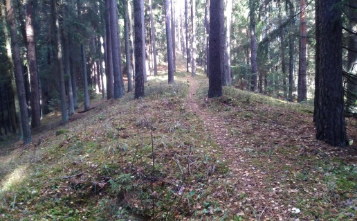 37_Targių ozai (2).jpg